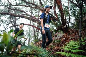 BIB: 
                            <button type="button" onclick="openModal(26296950)" class="btn btn-primary btn-sm float-right btn-popup" data-toggle="modal" data-target=".modal-high-quality">
                        <i class="fas fa-shopping-cart"></i> Add to Cart
                    </button>
                                            <button type="button" onclick="isThisMe(26296950, true)" class="btn btn-success btn-sm float-right btn-popup btn-isme hidden" data-toggle="tooltip" data-placement="bottom" title="นี่คือรูปของคุณใช่ไหม คลิกที่นี่เพื่อเอาเข้าอัลบั้ม">
                        <i class="fas fa-plus"></i> Add to album
                    </button>
                    <button type="button" onclick="isThisMe(26296950, false)" class="btn btn-warning btn-sm float-right btn-popup btn-isnotme hidden">
                        <i class="fas fa-ban"></i> Remove from album
                    </button>